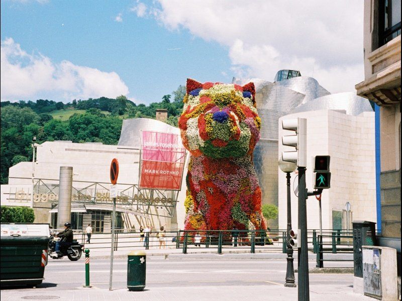 Bilbao Puppy