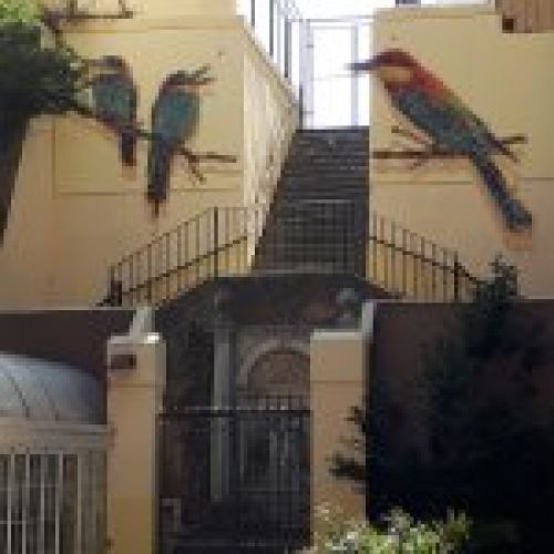 Mural pájaros Santander