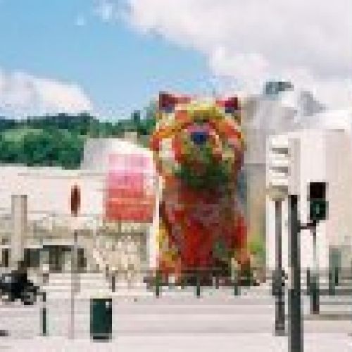 Bilbao Puppy