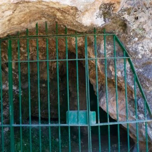 Cueva de La Pasiega
